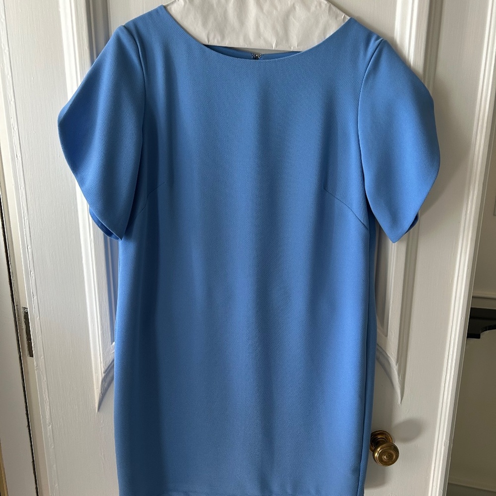 French Connection Dress with puffy sleeves, periwinkle blue, size 6.
